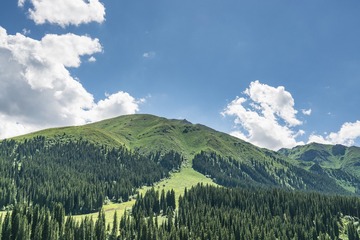 _DSC5772-18