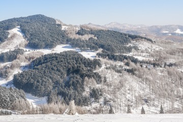 DSC07950-54