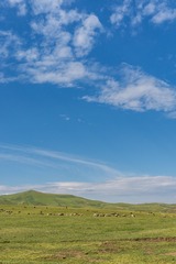 _DSC8852-13