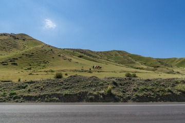 _DSC4764-3