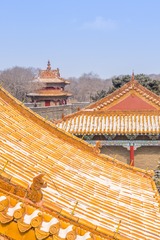 _DSC1503-104