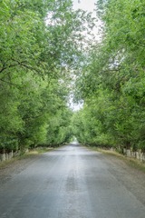 _DSC8433-4