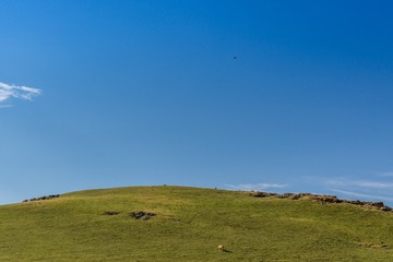 _DSC8830-10