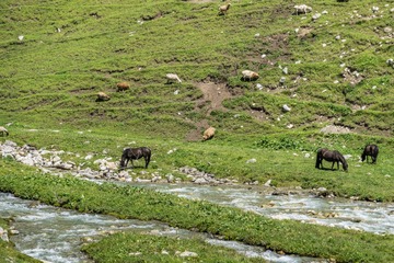 _DSC5661-11