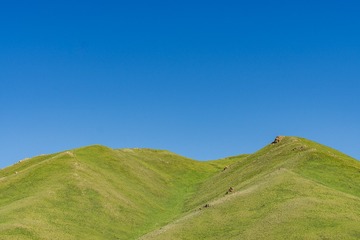 _DSC6470-49