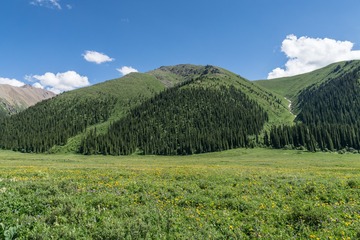 _DSC5743-3