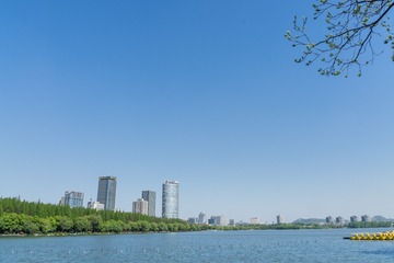 _DSC0950-7