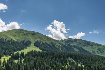 _DSC5771-17