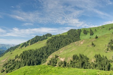 _DSC7859-15