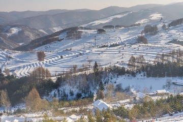 DSC07958-56