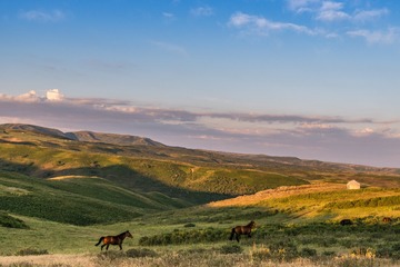_DSC8760-13