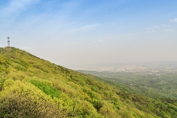 _DSC0766-6