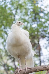 DSC_4096-41