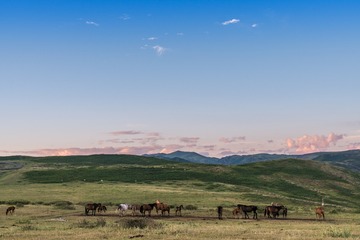 _DSC8737-28