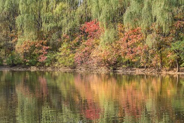 DSC_4080-34
