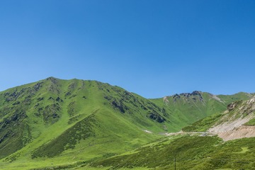 _DSC5650-2