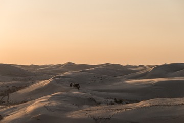 DSC_6943-35