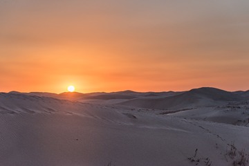 DSC_7411-25