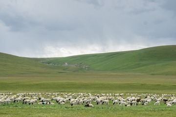 _DSC7429-63