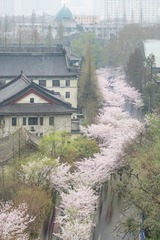 _DSC5337-编辑-3