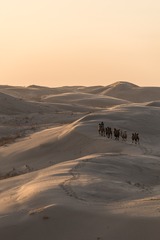 DSC_6918-29