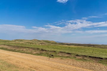 _DSC8916-10