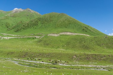 _DSC5654-5