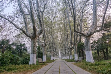 _DSC0426-5