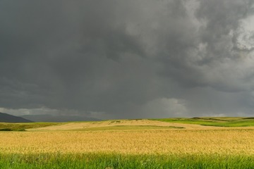 _DSC8392-2