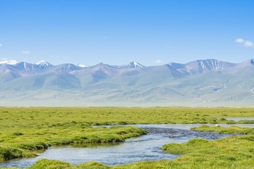 _DSC6408-26