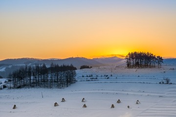 DSC07784-15