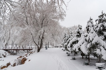 _DSC9908-1