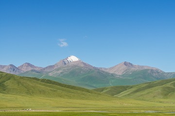 _DSC6471-50
