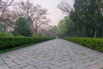 _DSC0419-1