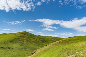 _DSC9006-14