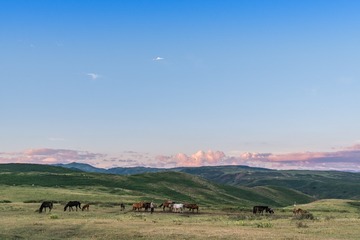 _DSC8725-23