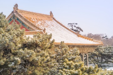 _DSC1481-97