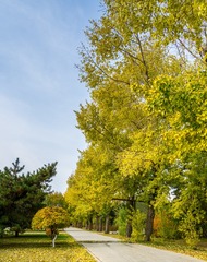 DSC05313-1