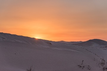 DSC_7377-24