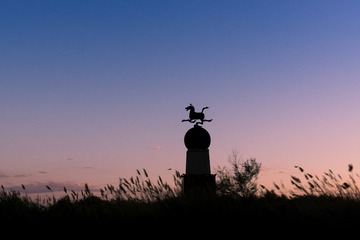 _DSC4441-1