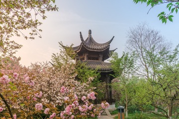 _DSC0477-1