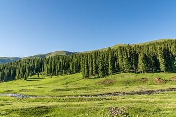 _DSC6049-51