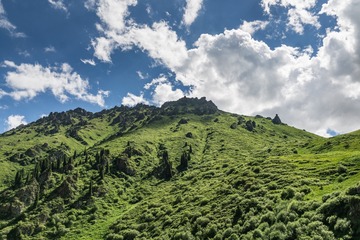 _DSC5881-5