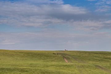 _DSC8813-16