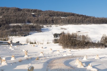 DSC07869-40