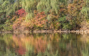 DSC_4074-编辑-31