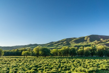 _DSC7756-95