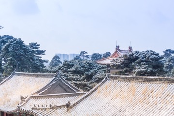 _DSC1453-8