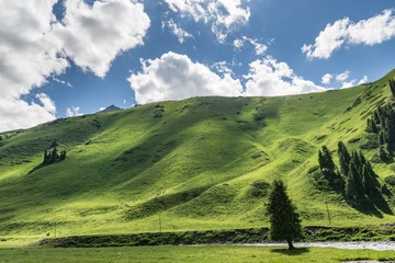 _DSC5815-31