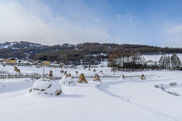 DSC07648-3